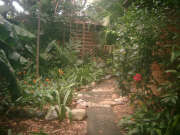 Eco Cottage II - Garden