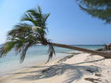 Chepes Beach