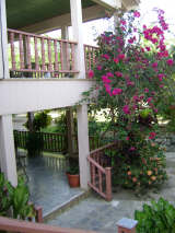 View from Stairs
