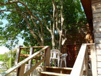 Kenap Tree Apartment - Balcony