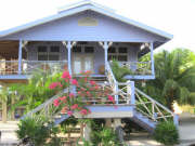 The Lavender House