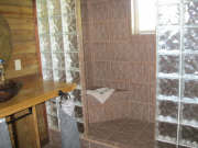 Master bath (shower area)