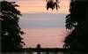 Mango Tree Apartments - thumb