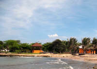Tangerine Dream Beach House