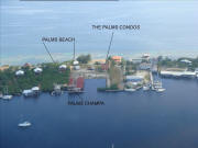 Condos at The Palms - Location