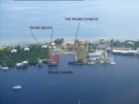 Condos at The Palms - Location