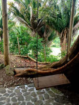 Every treehouse needs a swing!