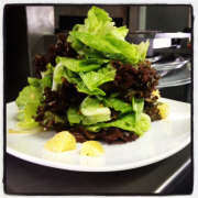 Mixed Greens