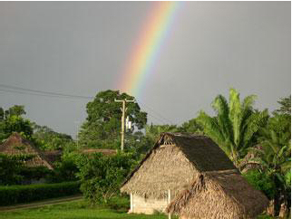 Rainbow