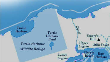 Turtle Harbor Map