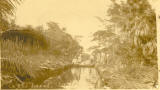 Utila Canal - Click to enlarge