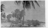 Decema Cooper's House 1945 - Click to enlarge