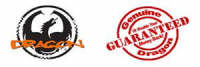 Dragon Logo