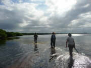 Crossing Turtle Harbor