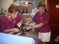 Treating a patient