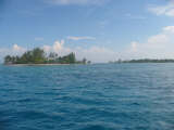 Bells Cay & Water Cay Utila