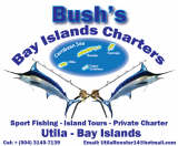 Bush's Bay Islands Charters Logo