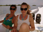 Fun in the Sun