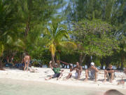 Fun in the Sun
