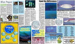 Utila East Wind - Page 10 & 11 - Click to download