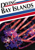 Diving the Bay Islands - Click to enlarge