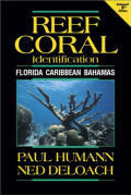 Reef Coral Identification by Paul Humann - Click to enlarge