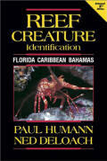 Reef Creature Identification by Paul Humann - Click to enlarge