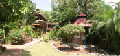 Mango Inn Tropical Gardens - Click to enlarge